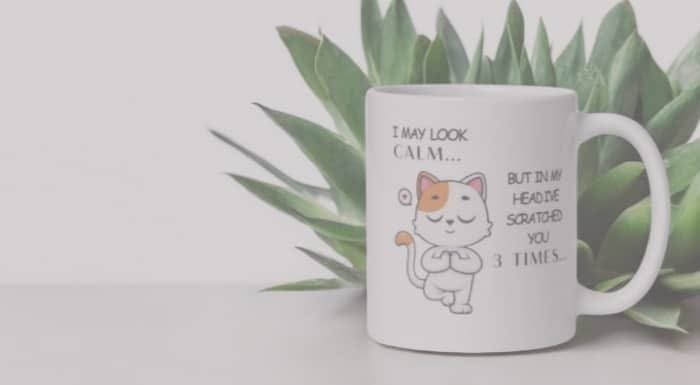 PalacePals pet mug – WhatsAppImage2024-10-20at9.33.18PM