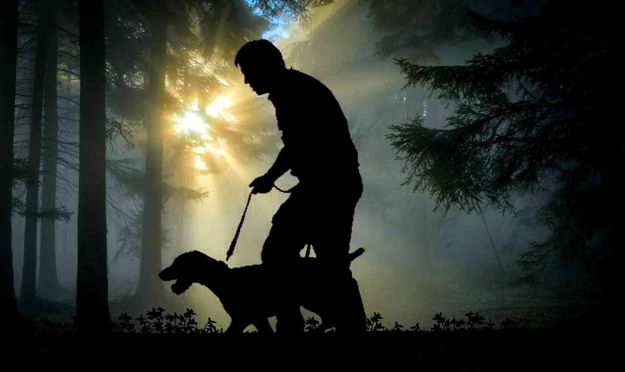 PalacePals pet mug – compressed_walk-2670512_1280